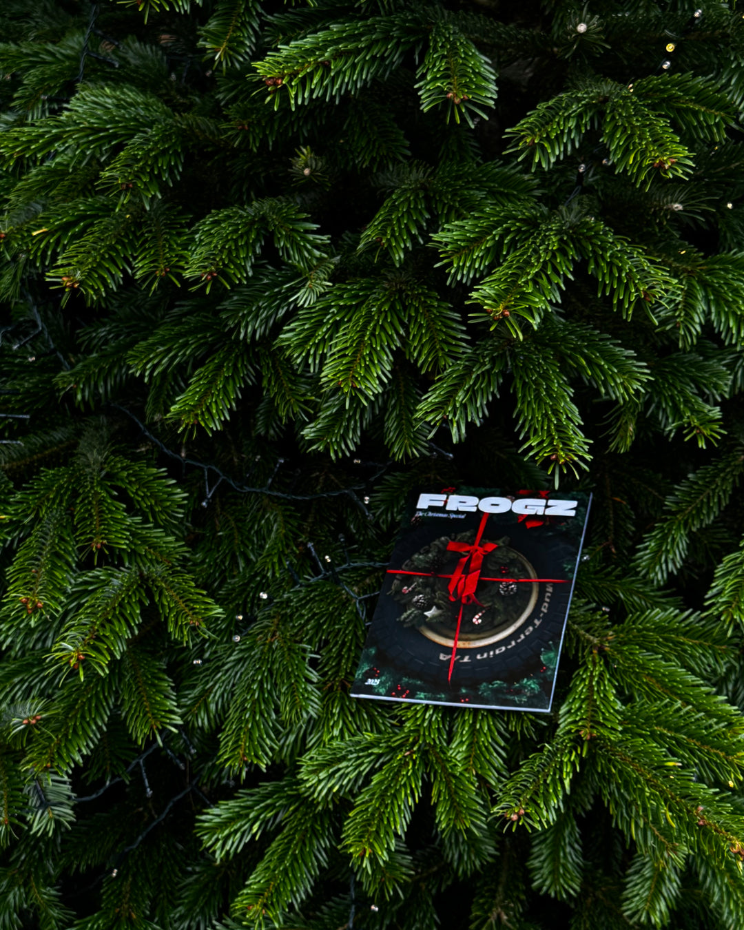 Frogz Issue 05 "The Rainy One"