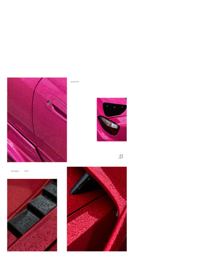 Frogz Issue 05 "The Rainy One"